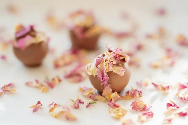 Ultra Kasino Apl Android/iOS